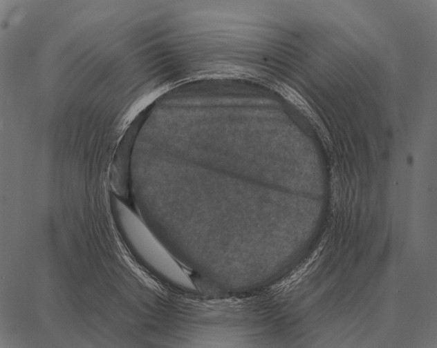 X0000087320842200705181009