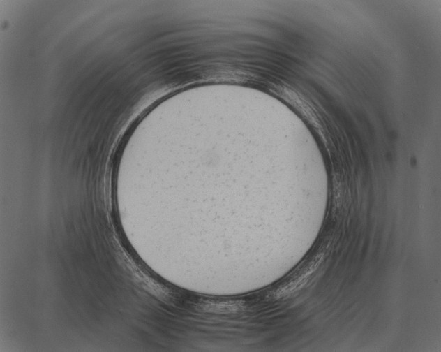 X0000087320843200705181009