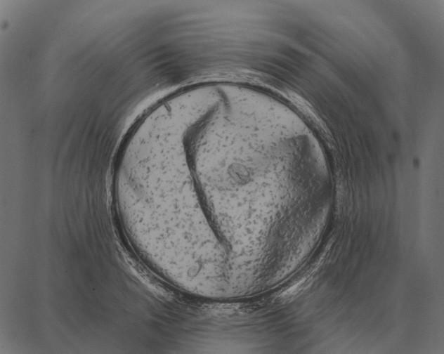 X0000087320846200705181009