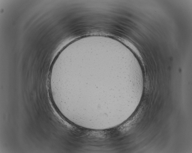 X0000087320847200705181009