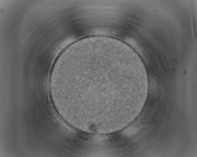 X0000087320848200705181009