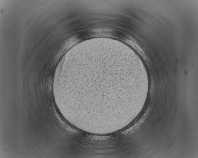 X0000087320849200705181009