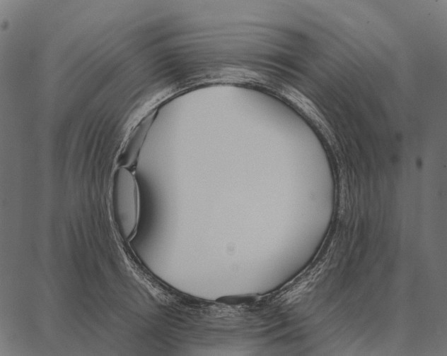 X0000087320850200705181009