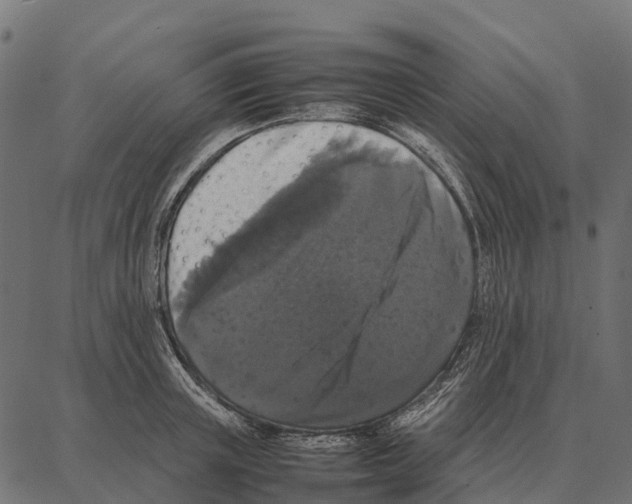 X0000087320851200705181009