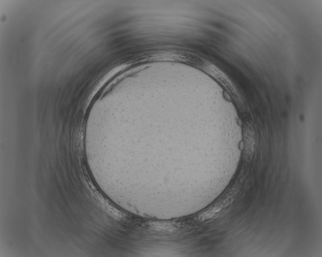 X0000087320852200705181009