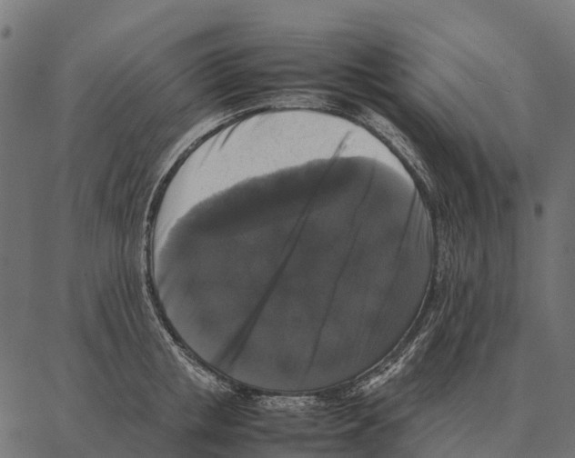 X0000087320853200705181009