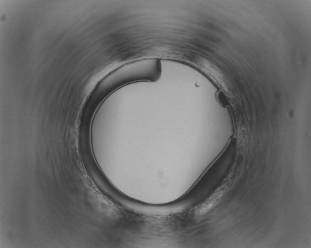 X0000087320854200705181009