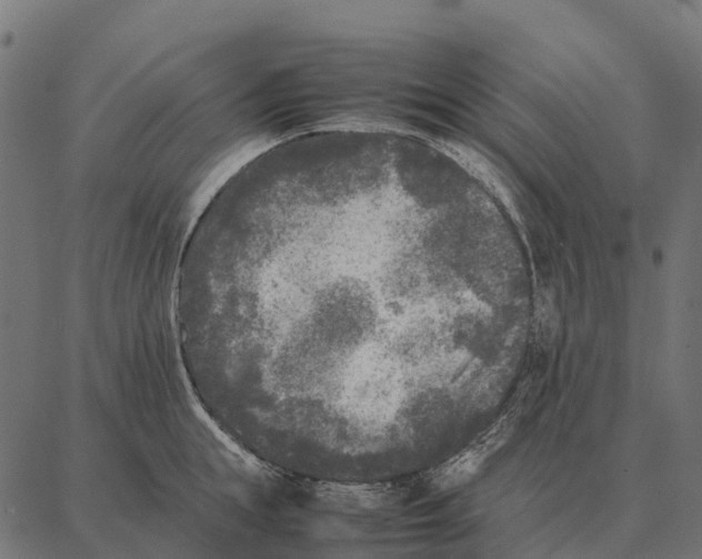 X0000087320855200705181009