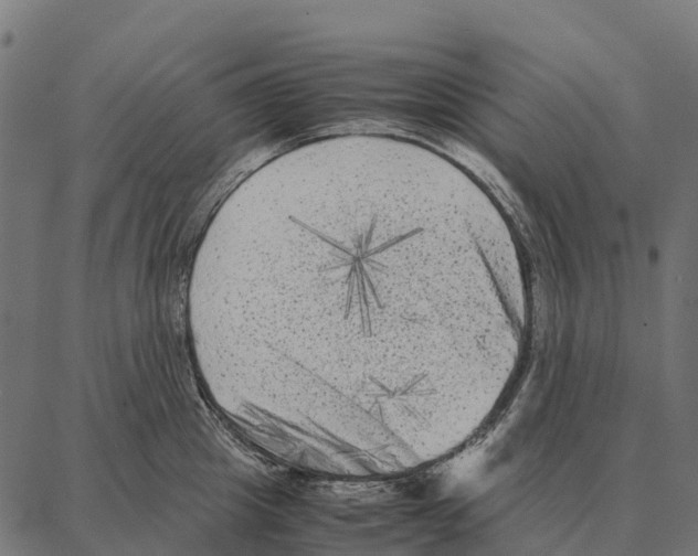 X0000087320857200705181009