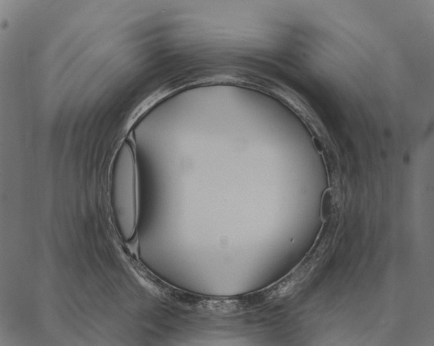 X0000087320858200705181009