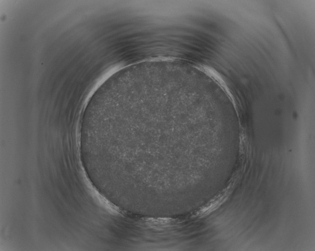 X0000087320859200705181009