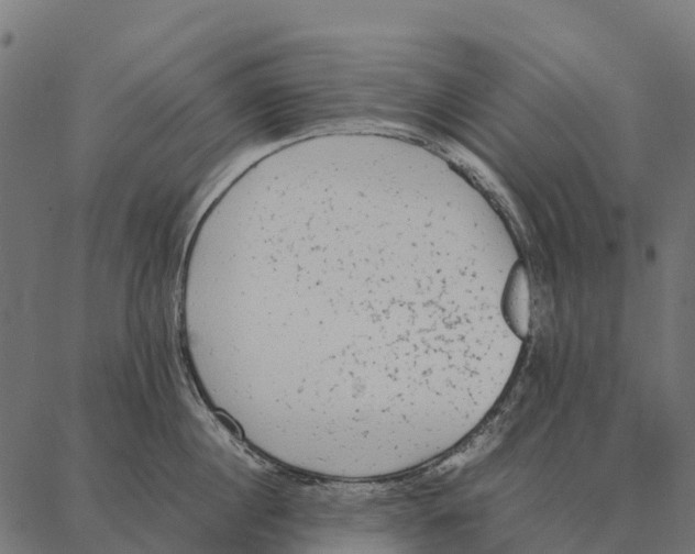 X0000087320860200705181009