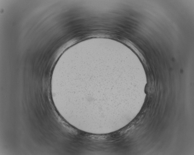 X0000087320861200705181009