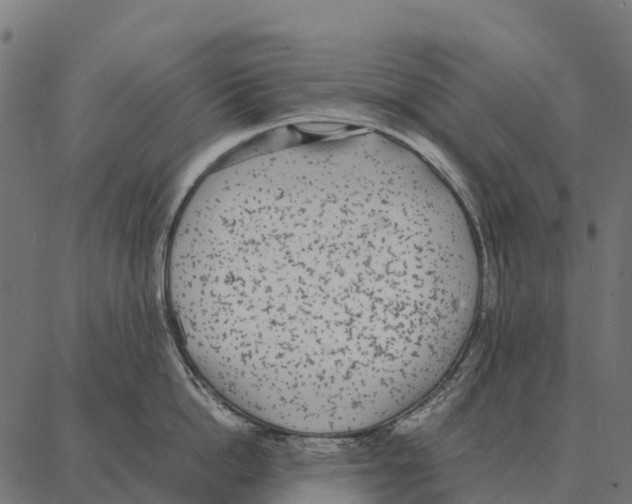 X0000087320862200705181009