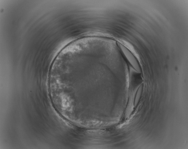 X0000087320863200705181009