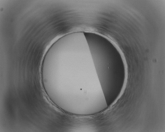 X0000087320864200705181009