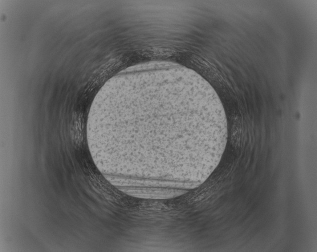 X0000087320866200705181008