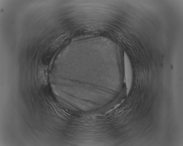 X0000087320868200705181008