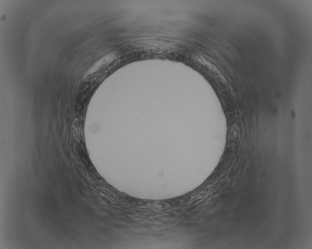 X0000087320869200705181008