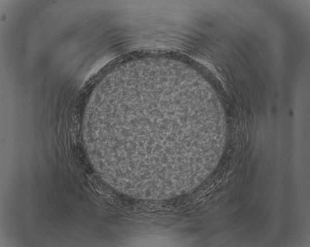 X0000087320871200705181008