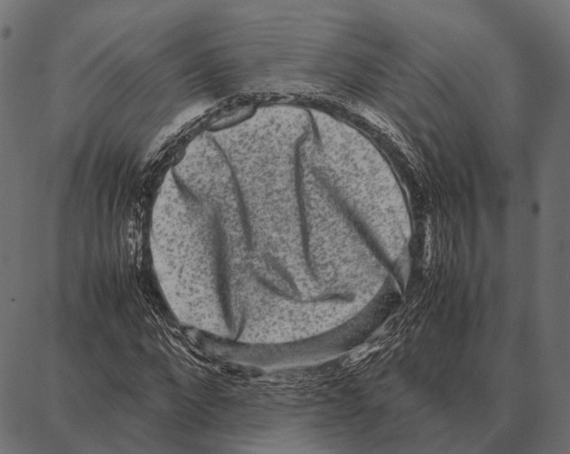 X0000087320872200705181008