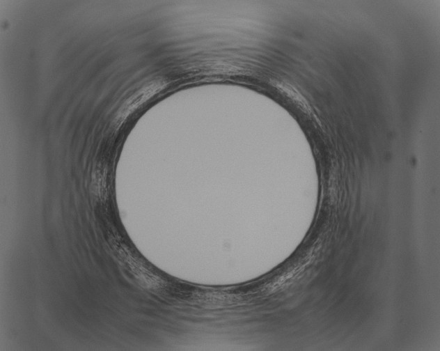 X0000087320873200705181008