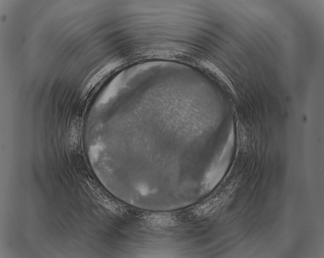 X0000087320874200705181008