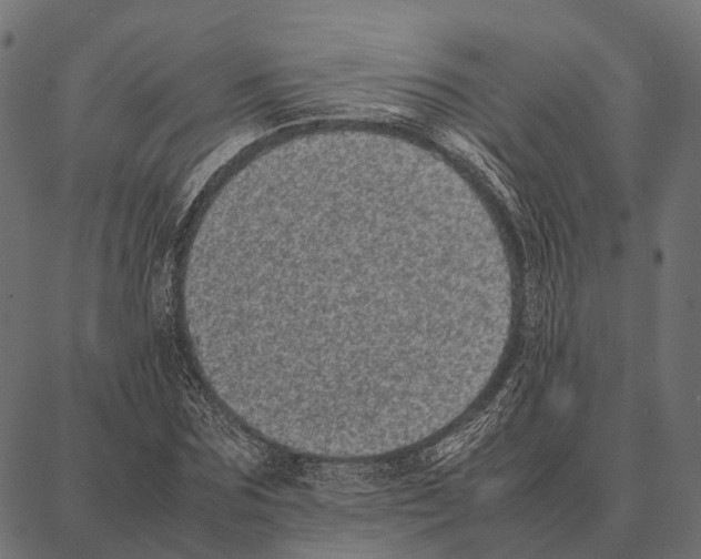 X0000087320875200705181008