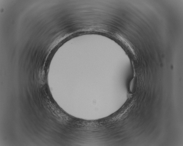 X0000087320876200705181008