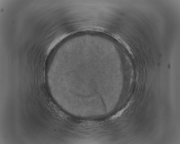 X0000087320877200705181008