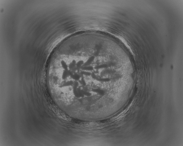 X0000087320879200705181008