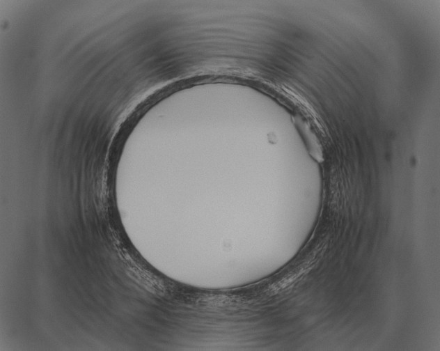 X0000087320880200705181008