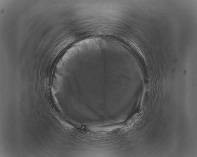 X0000087320881200705181008