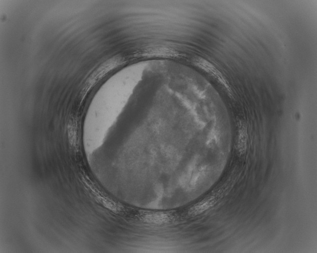 X0000087320882200705181008