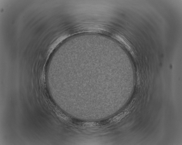 X0000087320883200705181008