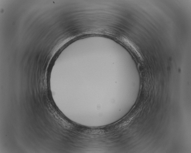 X0000087320884200705181008