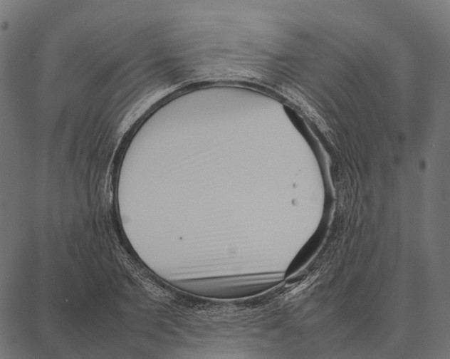 X0000087320885200705181008