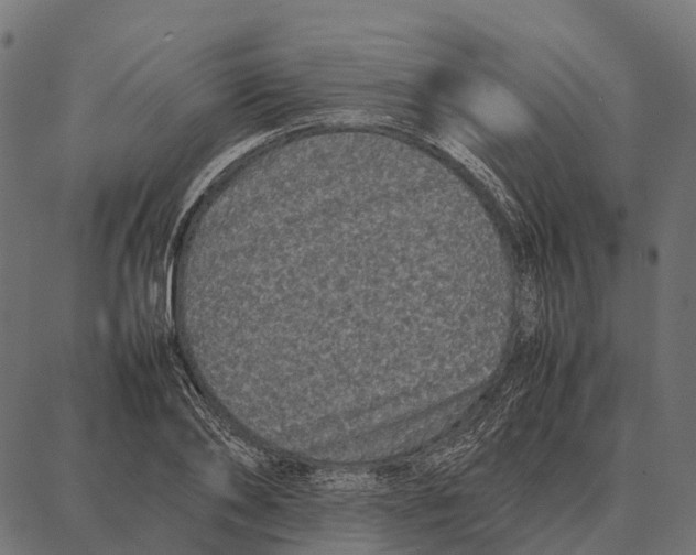 X0000087320886200705181008