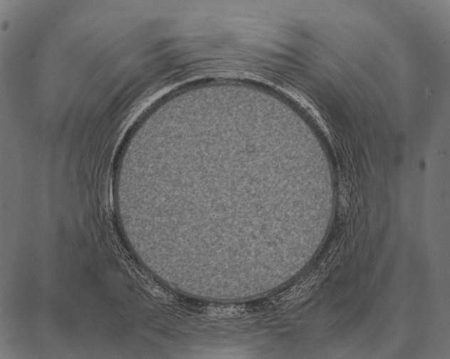 X0000087320887200705181008