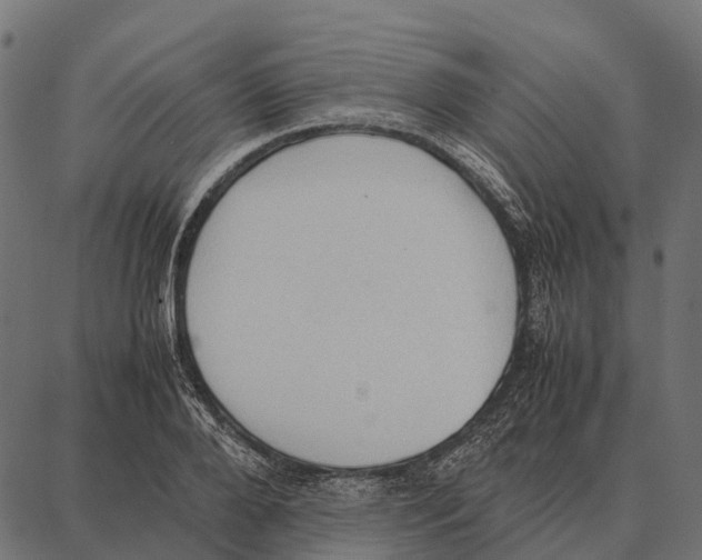 X0000087320888200705181008