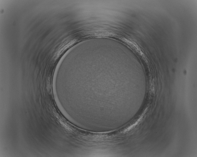 X0000087320889200705181008