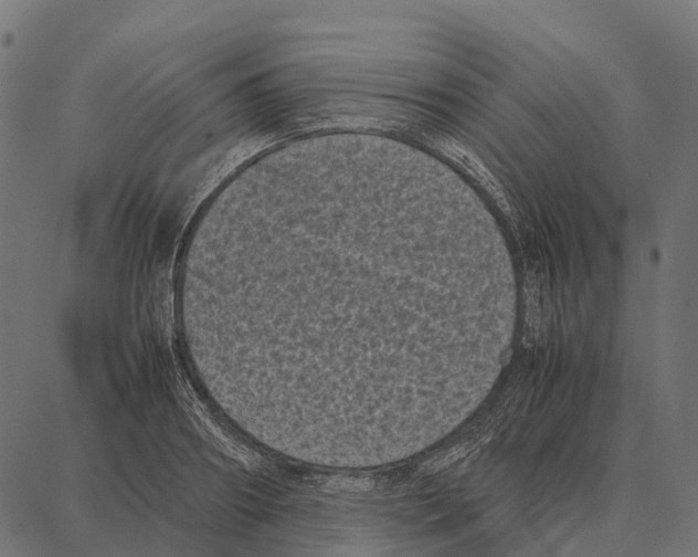 X0000087320890200705181008