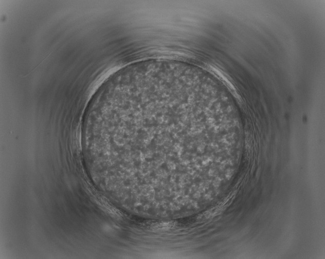 X0000087320891200705181008