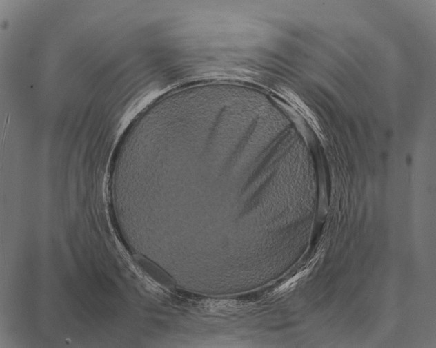 X0000087320893200705181008