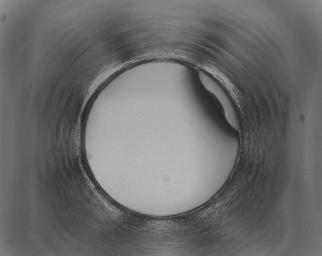 X0000087320894200705181008