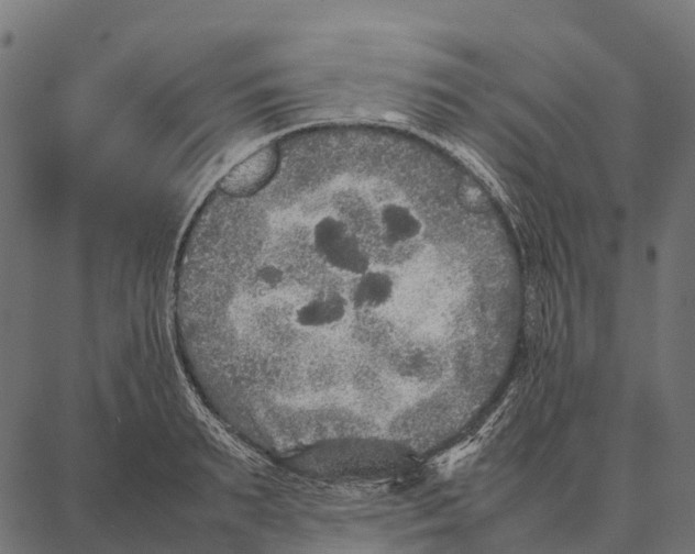 X0000087320895200705181008