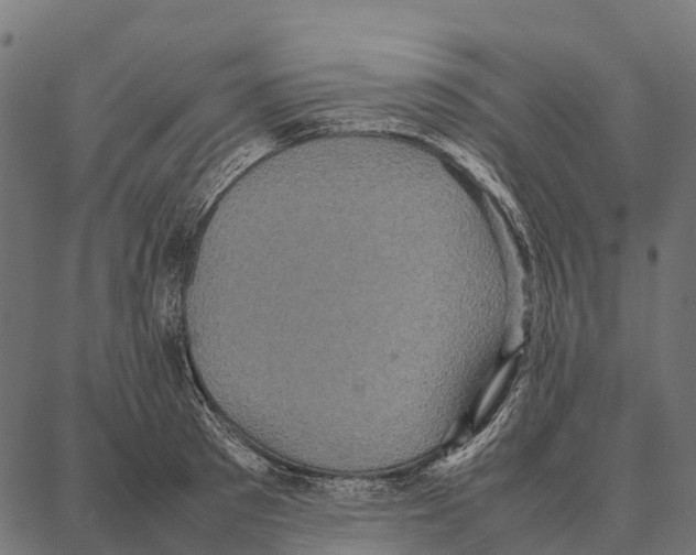 X0000087320897200705181008