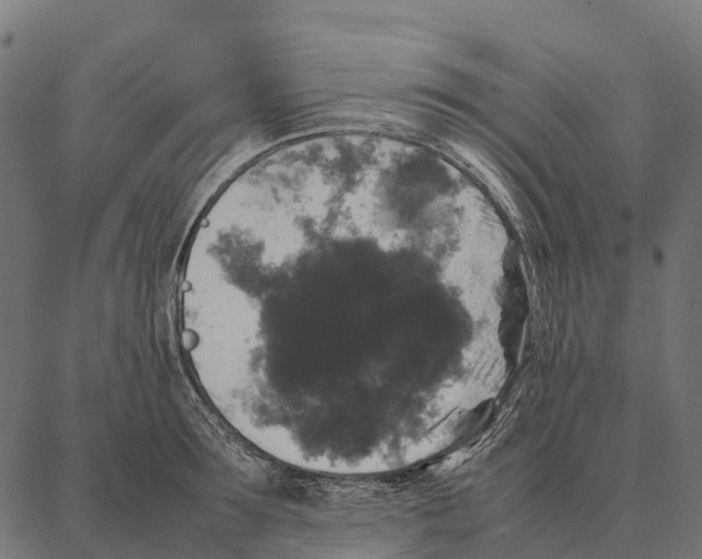 X0000087320899200705181008