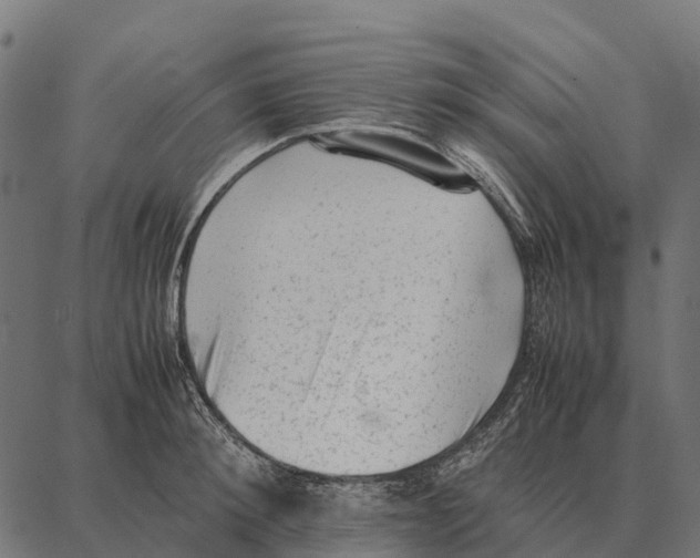 X0000087320900200705181008