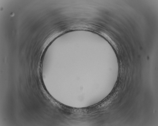 X0000087320901200705181008